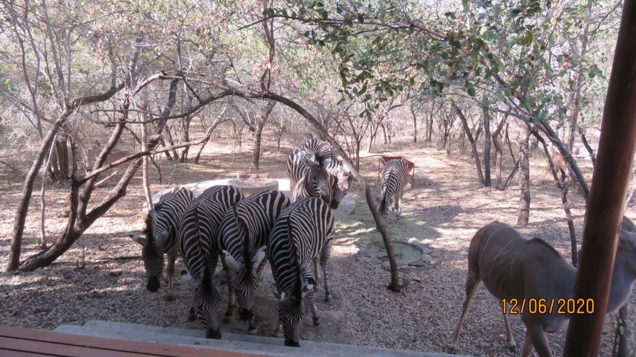 Holiday home Gemsbok Place *