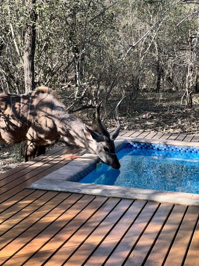 Gemsbok Place Marloth Park